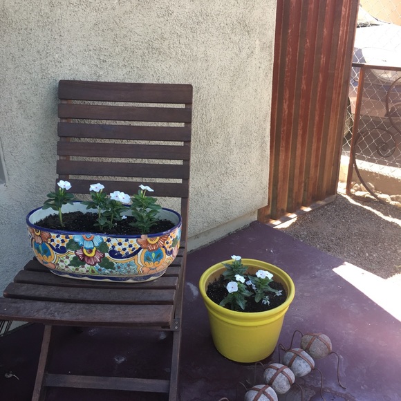 Meet your Posher, Nina - Picture 2 of 3